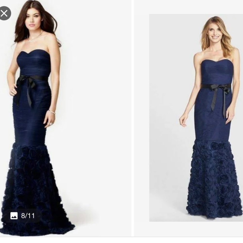 Js Collections ~ Blue Mesh Rosettes Sweetheart Me… - image 1